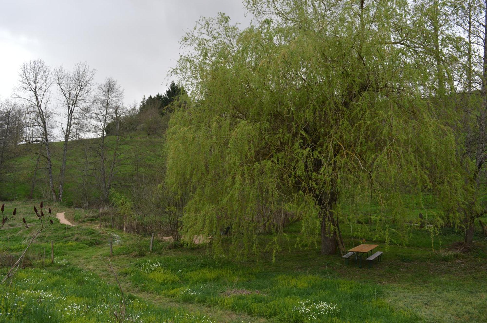 La Fabrique Du Roncon Villa Saint-Bonnet-le-Troncy Exteriör bild